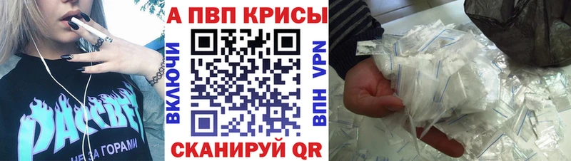 Купить закладки Лермонтов A PVP VHQ