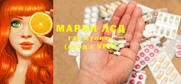 PSILOCYBIN Карпинск