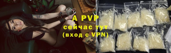 мдпв Касимов