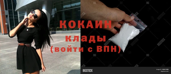PSILOCYBIN Карпинск
