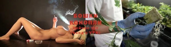 PSILOCYBIN Карпинск