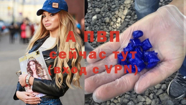 PSILOCYBIN Карпинск