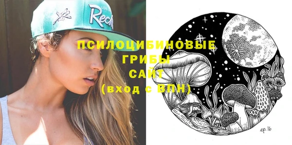 мдпв Касимов