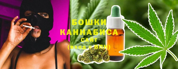 PSILOCYBIN Карпинск